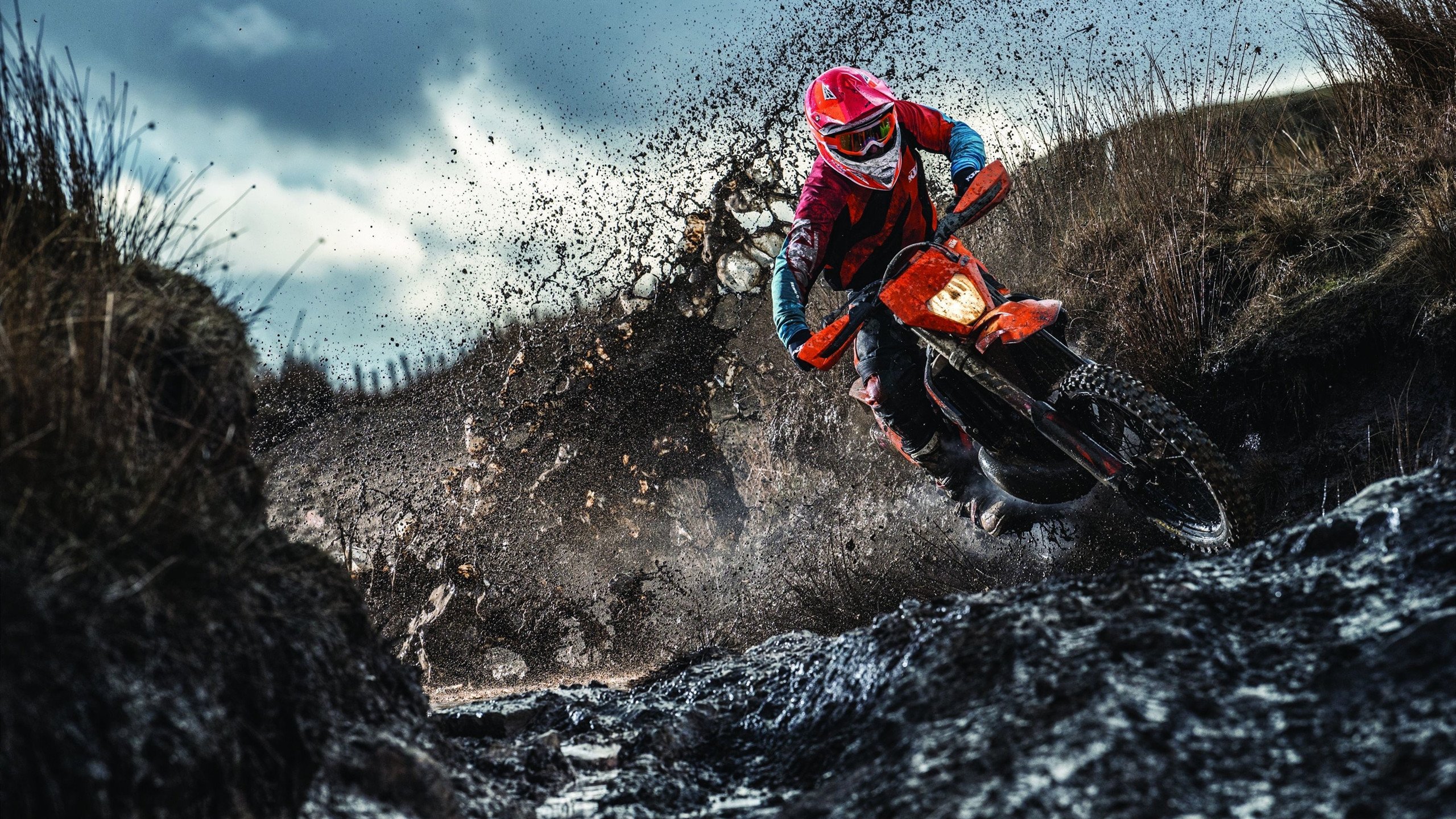 Aster战队新赛季蓄势待发，aster队员介绍